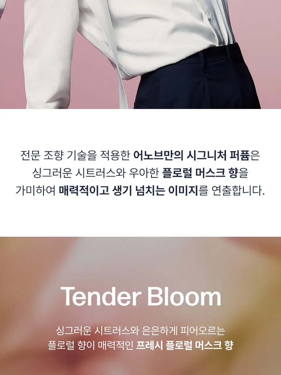 [단독기획] 어노브 워터 에센스 헤어미스트 200ml+30ml 증정 기획 (뿌리는 에센스) 상세페이지 22